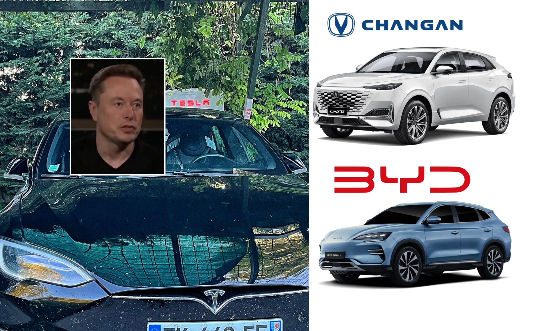 A Elon Musk se le acumulan los problemas en Tesla... y el más inquietante es la elevada y creciente competencia de las marcas chinas, en especial de BYD y de Changan / Foto: elaboración propia